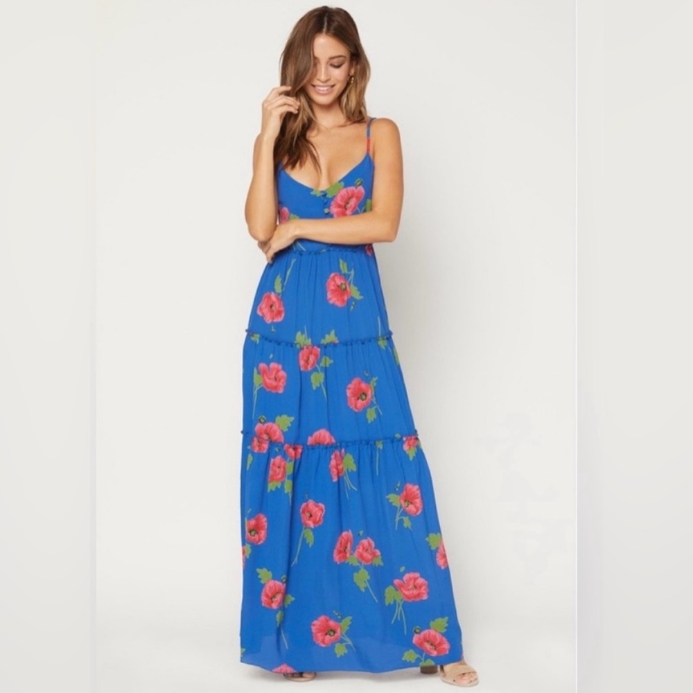 Like new Flynn Skye Maxi Dress